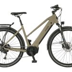 Prophete »Entdecker 3.0« 9 Gang Shimano Kettenschaltung Mittelmotor 250 W