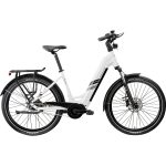 Zündapp »X885« 7 Gang Nabenschaltung Mittelmotor 250 W
