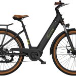 SachsenRad »C5 mit Diebstahlsicherung« 7 Gang Shimano 7SP TOURNEY TY300 Schaltwerk Kettenschaltung Mittelmotor 250 W Tiefeinsteiger, TFT Farb-LCD-Display, Fahrmodus Pedelec, LED-Frontlicht, Alarmanlage