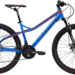 Bikestar Mountainbike 21 Gang Shimano RD-TY300 Schaltwerk Kettenschaltung für Damen und Herren, Kettenschaltung