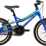 Bikestar Kinderfahrrad »Mountain« 1 Gang
