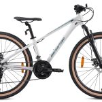 Bikestar Mountainbike 21 Gang Shimano RD-TY300 Schaltwerk Kettenschaltung für Damen und Herren, Kettenschaltung