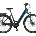 Prophete »Geniesser 6.8« 7 Gang Shimano Nexus Schaltwerk Nabenschaltung Mittelmotor 250 W