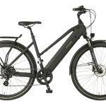 Prophete »Entdecker 2.0« 8 Gang Shimano Altus Schaltwerk Kettenschaltung Heckmotor 250 W