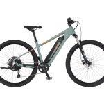 FISCHER Fahrrad »MONTIS 2.2 688 ACTIVE« 10 Gang Shimano Cues RD-U6020-10 Schaltwerk Heckmotor 250 W
