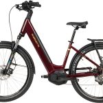 SAXONETTE »SAXONETTE Trekkingrad Deluxe SUV easy (Wave)« 8 Gang Shimano ALTUS-8 Gänge Schaltwerk Kettenschaltung Mittelmotor 250 W Packung, (mit integr. Akku), Elektrofahrrad für Damen u. Herren
