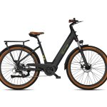 SachsenRad »C5 Centro II mit Diebstahlsicherung« 8 Gang Shimano Kettenschaltung Mittelmotor 250 W