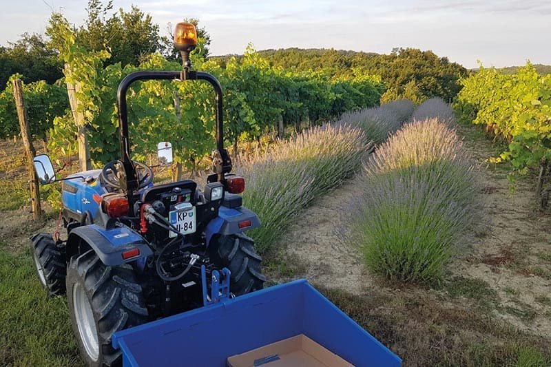 Solis 26 Kleintraktor mit Allrad & Servolenkung – 26 PS Mitsubishi Dieseltraktor – Bild 3