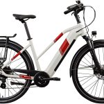Zündapp »Z810« 8 Gang Shimano Altus RD-M310 Schaltwerk Kettenschaltung Heckmotor 250 W Pedelec, Elektrofahrrad für Damen und Herren