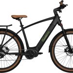 SachsenRad »S8« 10 Gang Magura Shimano Deore Schaltwerk Kettenschaltung Mittelmotor 250 W TFT Farb-LCD-Display, Fahrmodus Pedelec, LED-Frontlicht