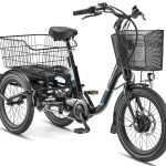Telefunken »TC550« 3 Gang Shimano Nexus Schaltwerk Nabenschaltung Frontmotor 250 W tiefer Einstieg, Pedelec, inkl. Einkaufskorb
