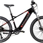 Zündapp »Z898« 10 Gang Kettenschaltung Heckmotor 250 W Pedelec, Elektrofahrrad für Damen u. Herren, MTB