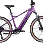 AGON »Alpha« 10 Gang Shimano Deore SGS T6000 Schaltwerk Kettenschaltung Heckmotor 250 W Pedelec, Elektrofahrrad für Damen u. Herren, MTB