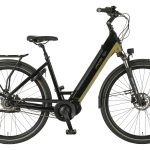 Prophete »Geniesser 6.0« 7 Gang Shimano Nexus Schaltwerk Nabenschaltung Mittelmotor 250 W