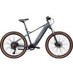 AGON »Alpha« 10 Gang Shimano Deore SGS T6000 Schaltwerk Kettenschaltung Heckmotor 250 W Pedelec, Elektrofahrrad für Damen u. Herren, MTB
