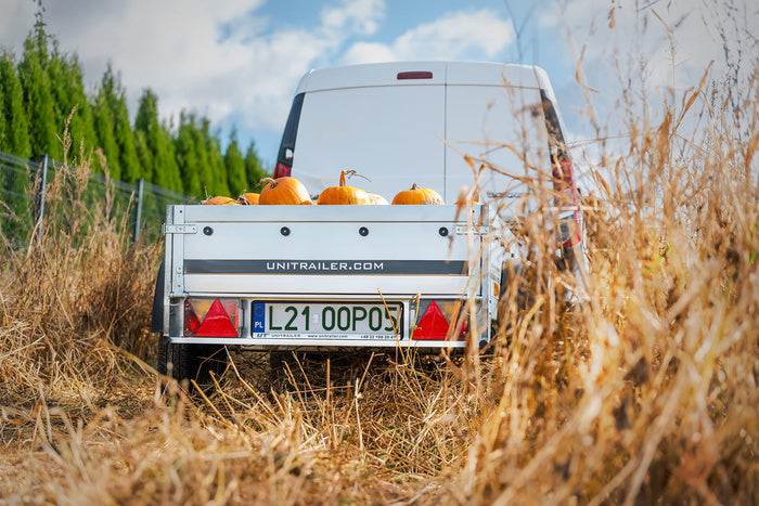 Kleiner Anhänger Garden Trailer 150 KIPP 150×106 cm 750kg-Neu – Bild 4